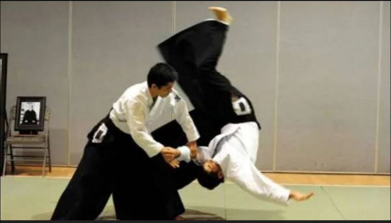 Aikido Dilarang di MMA Karena Alasan Ini